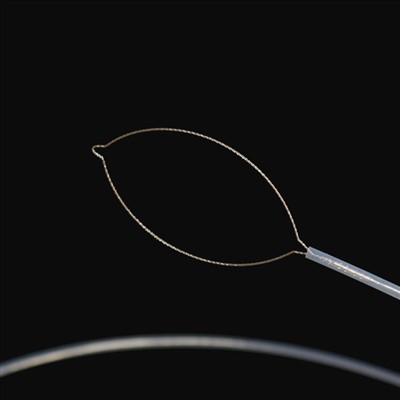 Jaw навъи бадани хориҷӣ