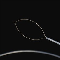 Jaw навъи бадани хориҷӣ